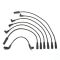 Spark Plug Wire Set - Delphi