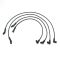 Spark Plug Wire Set - Delphi