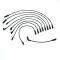 Spark Plug Wire Set - Delphi