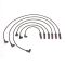 Spark Plug Wire Set - Delphi