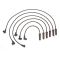 Spark Plug Wire Set - Delphi