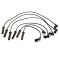 Spark Plug Wire Set - Delphi