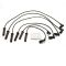 Spark Plug Wire Set - Delphi