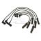 Spark Plug Wire Set - Delphi