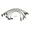 Spark Plug Wire Set - Delphi