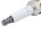 Spark Plug (Set of 8)