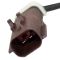 Exhaust Gas Temperature Sensor