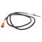 Exhaust Gas Temperature Sensor - Delphi