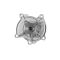 Engine Water Pump - Tonsa