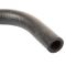 Fuel Tank Vent Hose