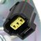 Fuel Pump Module Assembly
