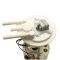 Fuel Pump Module Assembly - Delphi