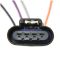 Fuel Pump Module Assembly - Delphi