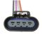 Fuel Pump Module Assembly - Delphi