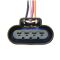 Fuel Pump Module Assembly - Delphi