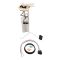 Fuel Pump Module Assembly - Delphi