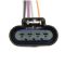 Fuel Pump Module Assembly - Delphi