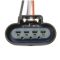 Fuel Pump Module Assembly - Delphi