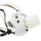 Fuel Pump Module Assembly - Delphi