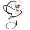 Fuel Pump Module Assembly - Delphi