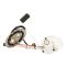 Fuel Pump Module Assembly - Delphi