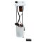 Fuel Pump Module Assembly - Delphi