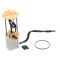 Fuel Pump Module Assembly - Delphi