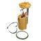 Fuel Pump Module Assembly - Delphi