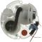 Fuel Pump Module Assembly - Delphi