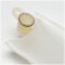 Fuel Pump Strainer - Delphi