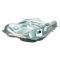 Fuel Tank & Strap Kit