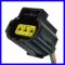 Fuel Tank and Pump Kit