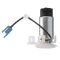 Fuel Pump and Strainer Set - Delphi