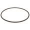 Fuel Pump Tank Seal - Delphi