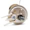 Fuel Transfer Unit - Delphi
