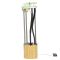 Fuel Transfer Unit - Delphi