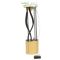 Fuel Transfer Unit - Delphi