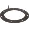 Fuel Pump Tank Seal - Delphi