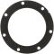 Fuel Pump Tank Seal - Delphi