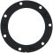 Fuel Pump Tank Seal - Sparta