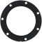 Fuel Pump Tank Seal - Sparta