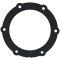 Fuel Pump Tank Seal - Sparta