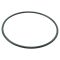 96-13  Infiniti; 95-13 Nissan Multifit Fuel Tank Sending Unit Lock Ring (Dorman)