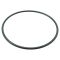 96-13  Infiniti; 95-13 Nissan Multifit Fuel Tank Sending Unit Lock Ring (Dorman)