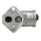 Fuel Injection Idle Air Control Valve - Delphi