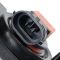 Fog Light