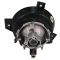 Fog Light Set