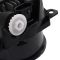 Fog Light Set