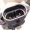 Headlight Assembly