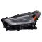 Headlight Assembly